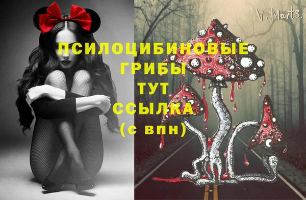 стаф Волоколамск