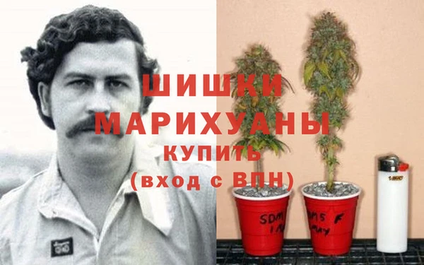 стаф Волоколамск