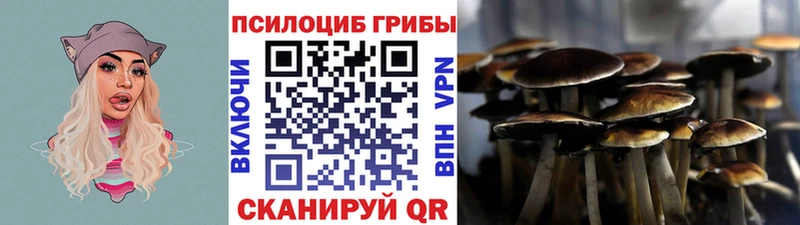 Псилоцибиновые грибы прущие грибы Новоржев